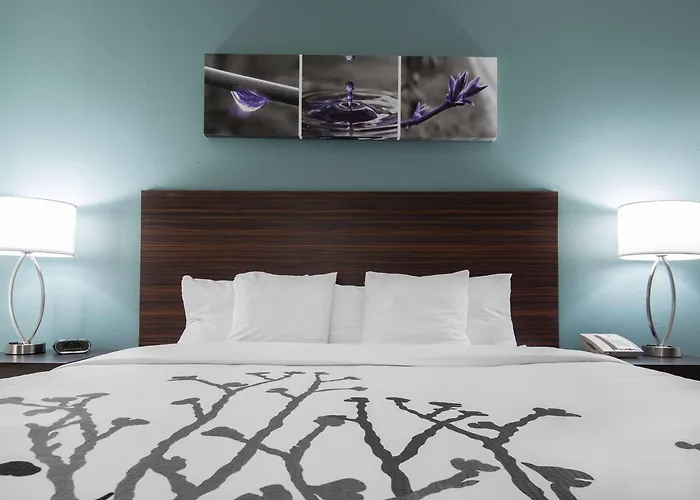 Hotel Sleep & Near Peoria
